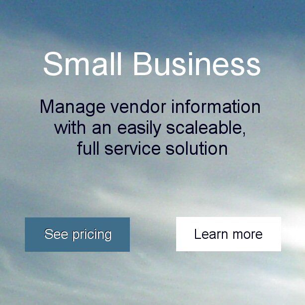 pVendor Small Business Solutions